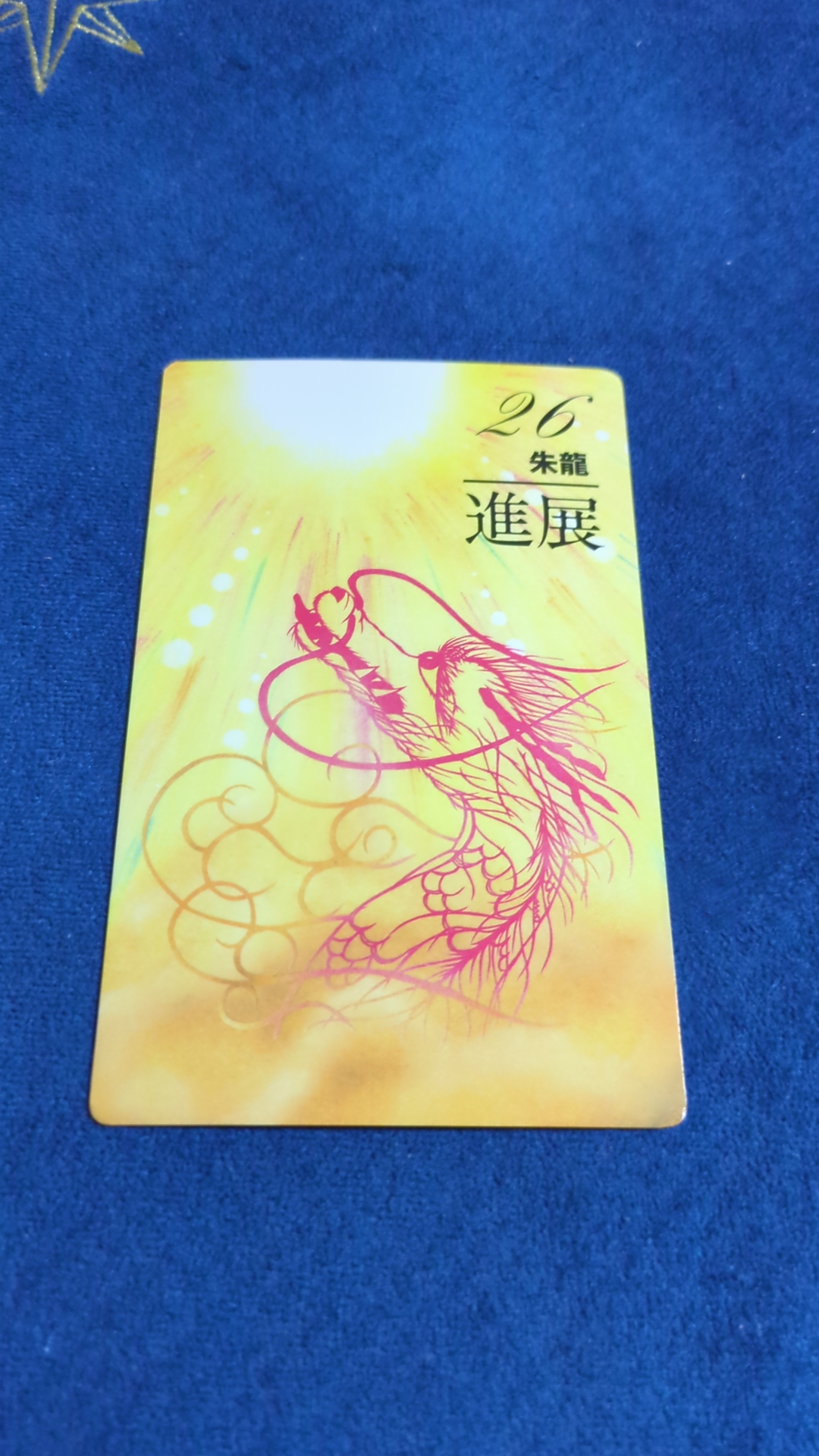 ご無沙汰しております