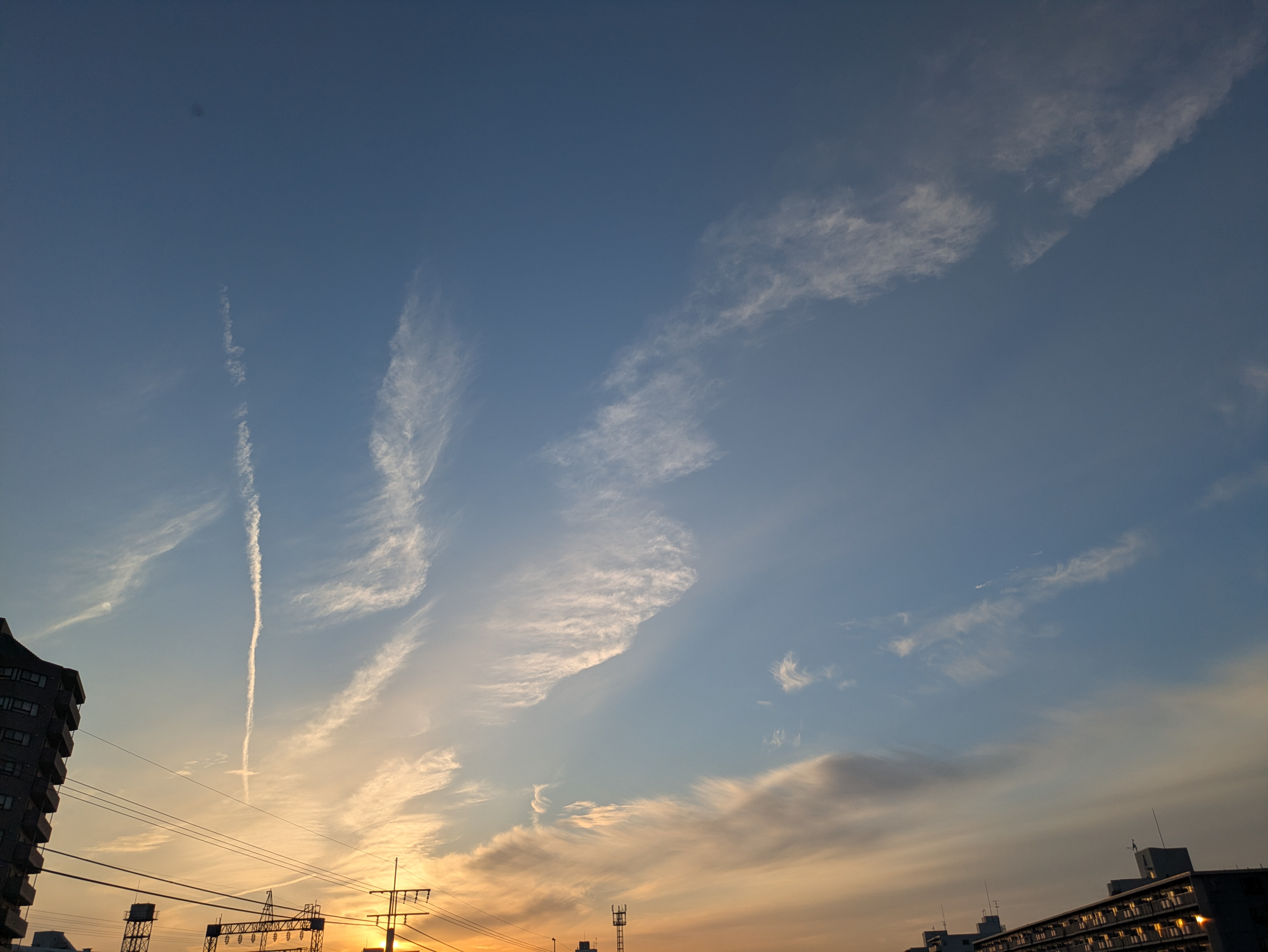 ご無沙汰しております