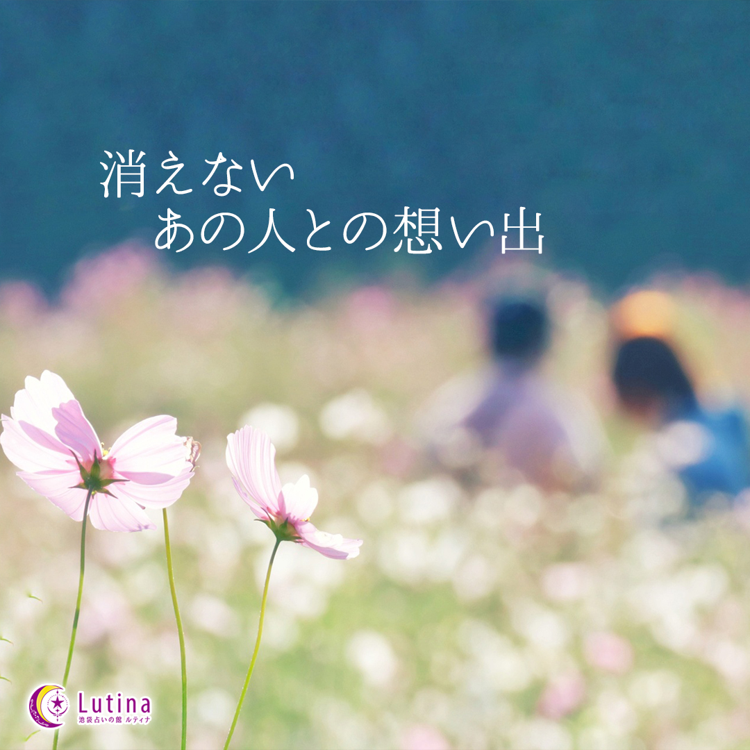 「会いたい」と思う気持ちには、理由があります。